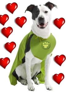 TurfMutt with hearts