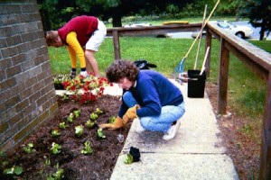 couple planting flowers