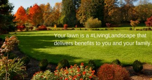 fall foliage meme "Your Lawn is a living landscape that delivers benefits to you and your family" 