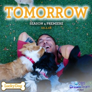 brandon mcmillan and three dogs - lucky dog show promo