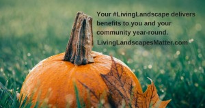 Pumpkin and fall leaf sitting on grass with living landscapes messaging