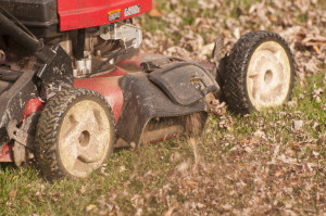 red push mower mowing lawn and grass clippings