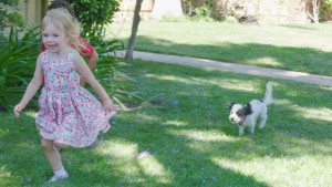 Rescue dog Olive runs and plays with kids in her new yard