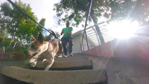 Trainer Brandon McMillan shows Sheela around Lucky Dog Ranch