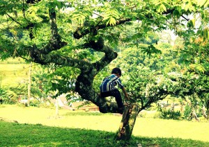 kid climbing tree outside