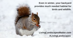 squirrel eating a piece of food in the snow