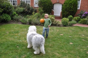 boy and his dog playing in the yard