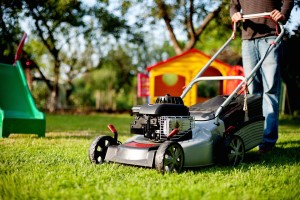 lawn mower in family yard