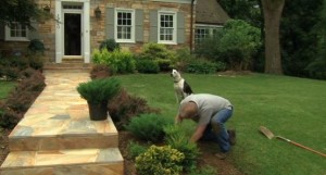 kris planting turfmutt video