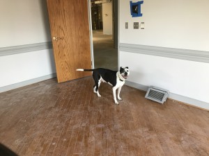 TurfMutt takes tour at new OPEI headquarters