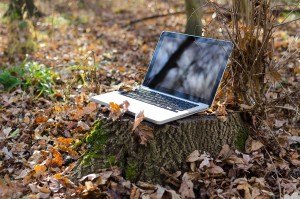 laptop on a stump