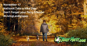TM-Take-A-Hike-Day-Nov17