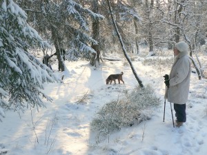 woman and dog walking in the snow