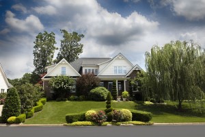 house + living landscapes