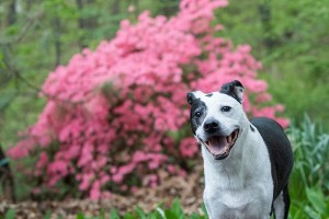 Turfmutt in his family yard