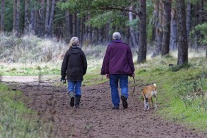 couple walks dog