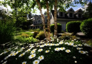 Home with trees, landscaping