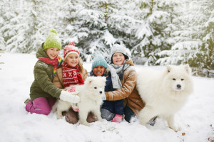 Group of kids in snowdrift playing with dogs