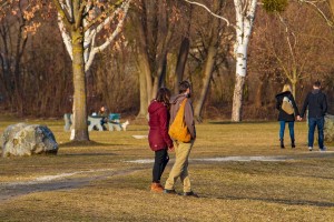 People in a park 