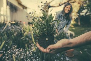 People planting flowers