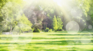 Blurred nature park background with sun rays and bokeh, banner