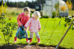 Two little girls helping in a garden