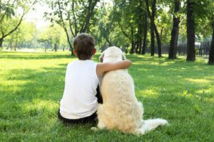 Teenager boy in the park with a golden retriever dog