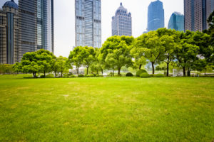 green grass with city building background.