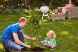 Father and son planting tree